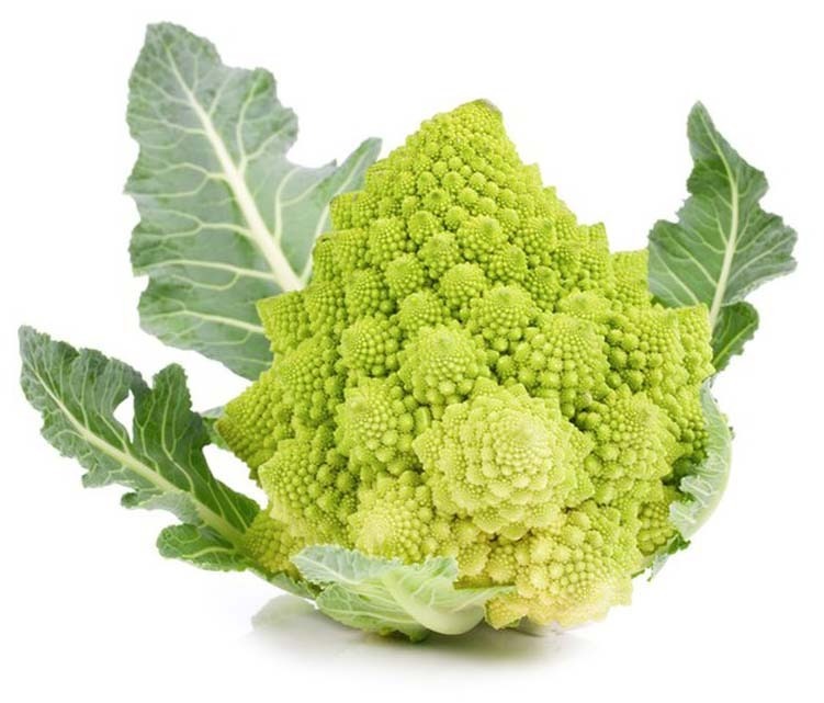 can dogs eat Romanesco