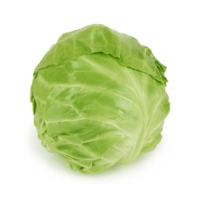 can dogs eat cabbage