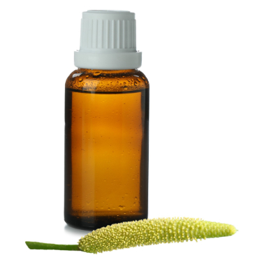 can dogs have calamus essential oil