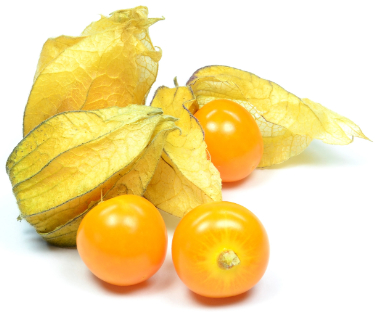 can dogs eat cape gooseberries