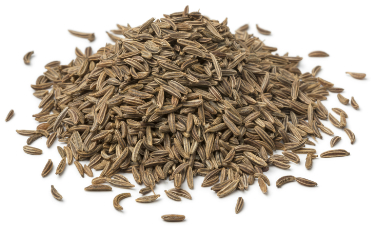 can dogs have caraway seeds