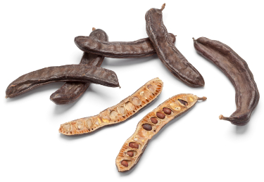 can dogs eat carob seeds