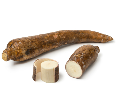 can dogs eat cassava root