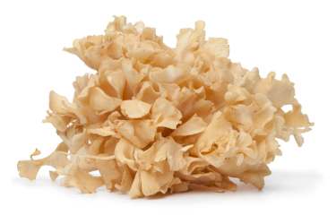 can dogs have cauliflower mushrooms