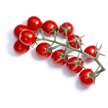 can dogs eat wild cherries