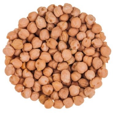 are garbanzo beans safe for dogs