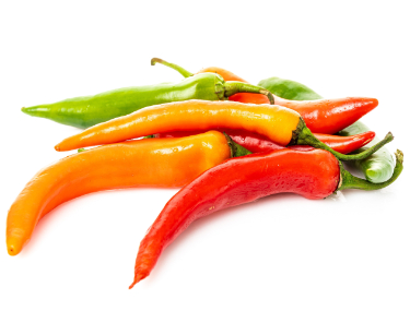 are pepper plants toxic to dogs