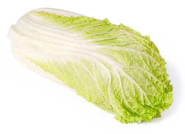 can dogs have napa cabbage
