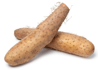 can dogs eat Chinese yam