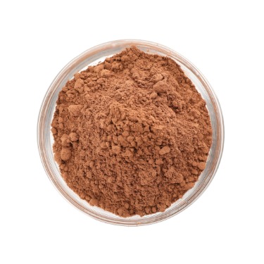 can dogs eat cocoa powder