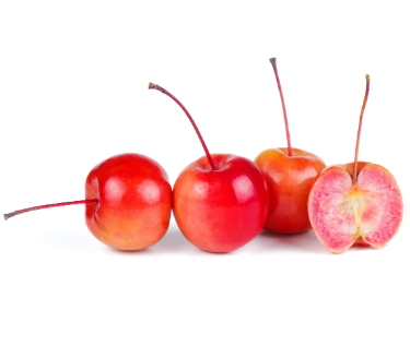 are crab apples safe for dogs