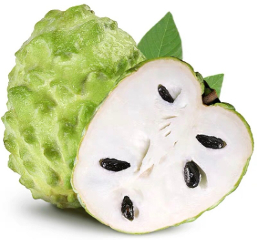 can dogs eat custard apple