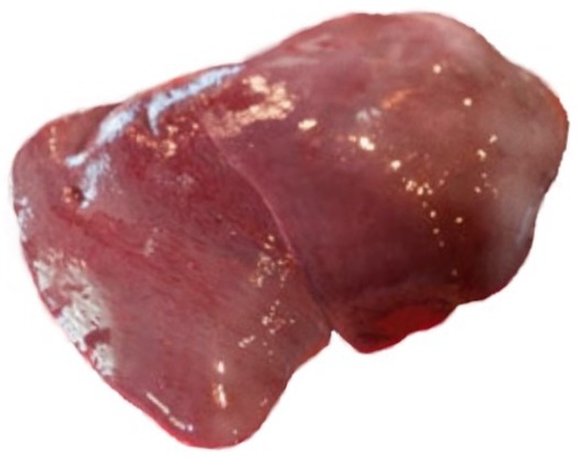 is deer liver good for dogs