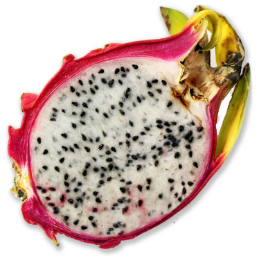 can dogs have dragon fruit