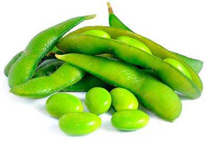 can dogs eat edamame