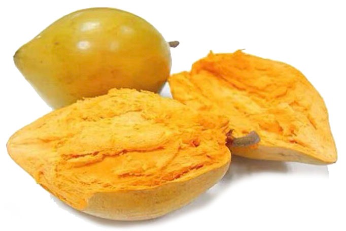 can dogs eat egg fruit