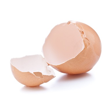 can puppies eat eggshells