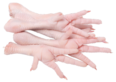 are chicken feet safe for dogs to eat