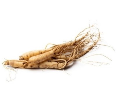 can dogs eat ginseng