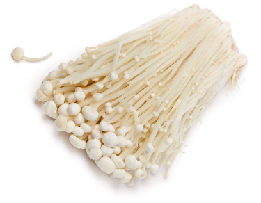 can dogs eat enoki mushrooms