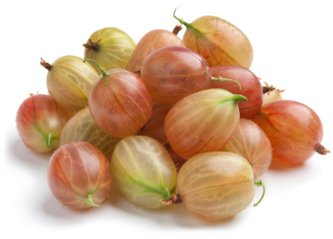 can dogs eat gooseberries