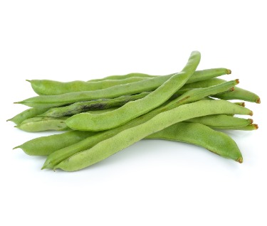 can dogs eat green beans