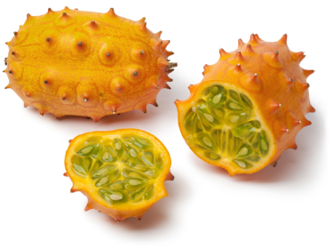 can dogs eat kiwano melon