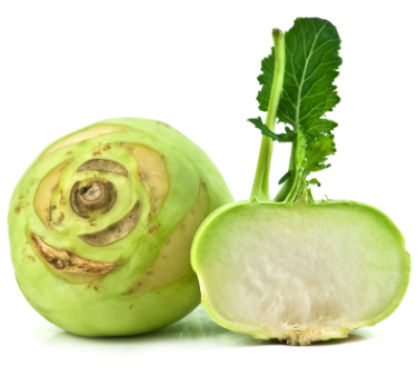 can dogs eat kohlrabi