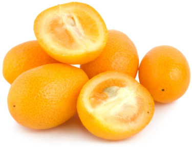 can dogs have kumquats