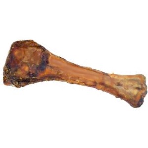 can dogs eat lamb shank bones