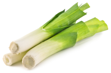 can dogs eat leeks