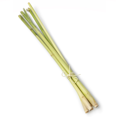 can dogs eat lemongrass