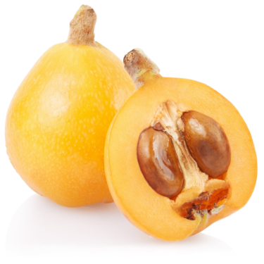 can dogs eat loquat fruit