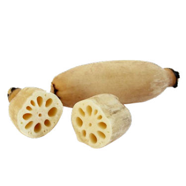 Can Dogs Eat Lotus Root? Essential Safety Tips