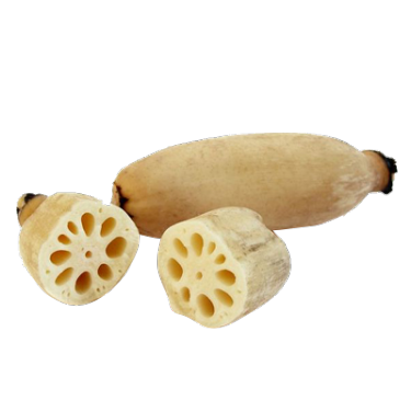 can dogs eat lotus root