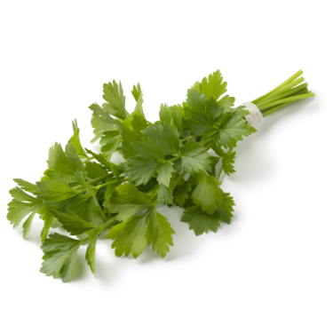 can dogs eat lovage