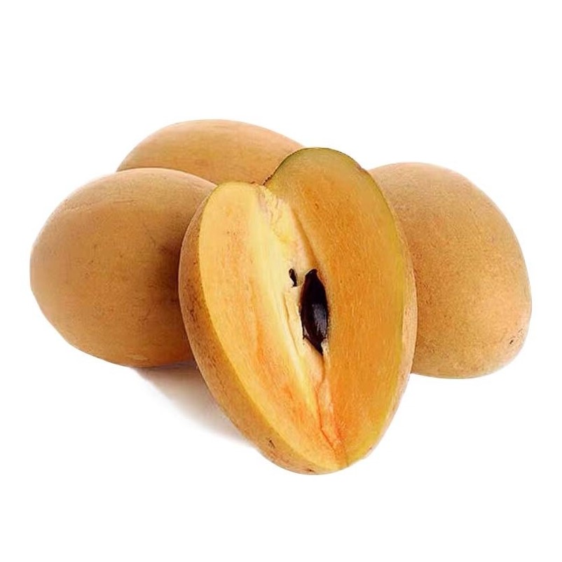 can dogs eat mamey sapote