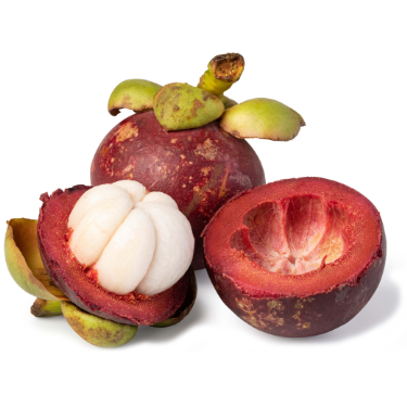 can dogs have mangosteen