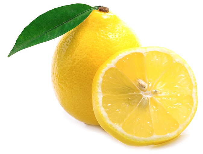 can dogs have meyer lemons