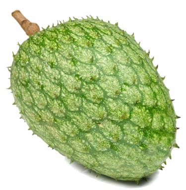 can dogs eat mountain soursop