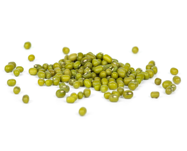 can dogs eat mung beans