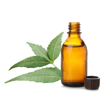 can dogs have neem oil