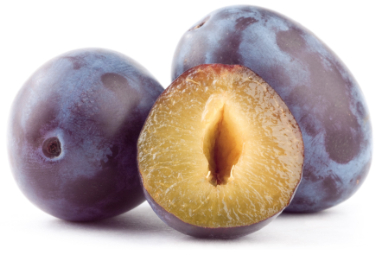 can dogs eat plums