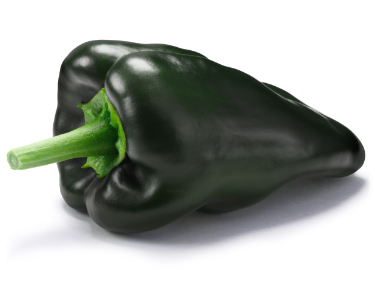 can dogs eat poblano pepper