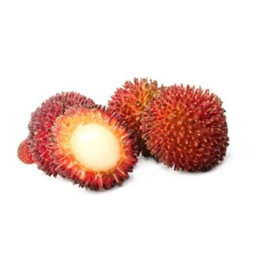 can dogs eat pulasan