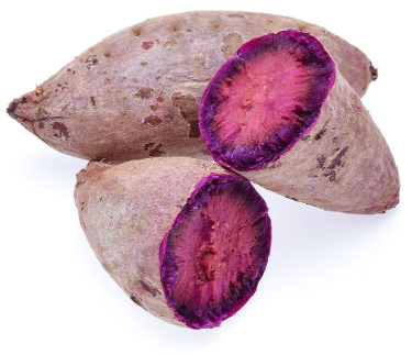 can dogs eat purple yam