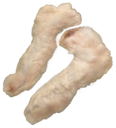 can dogs eat rabbit feet