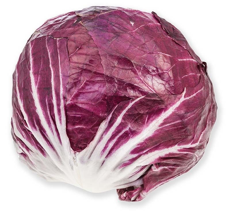 can dogs eat radicchio