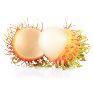 can dogs eat rambutan