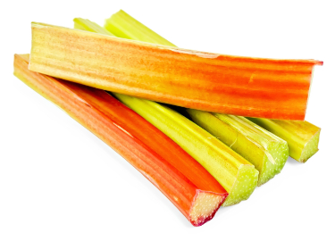 can dogs eat rhubarb